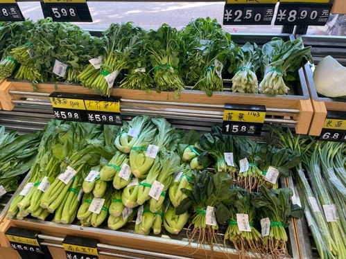 广州 主力品种蔬菜价格基本稳定