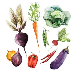 9款经典水彩蔬菜矢量素材